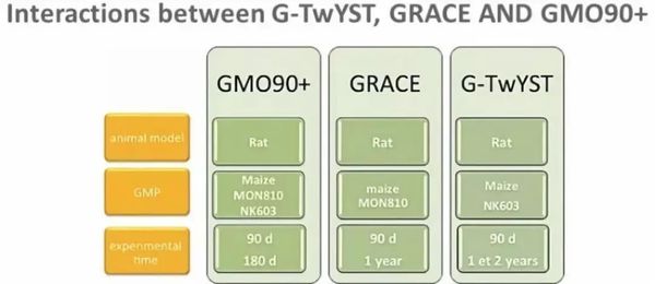 彻底击碎转基因致癌谣言？欧洲历时六年、耗资过亿的三大研究终于发布结果