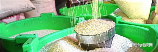 贸易量上升但大米出口下降