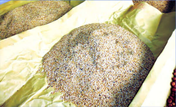 五颜六色的各类芝麻在木姐边贸市场都获得了好价钱