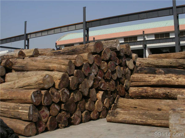 缅甸柚木价格行情