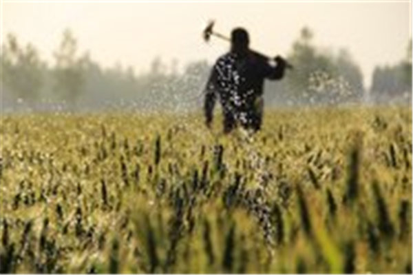 缅甸放宽农业领域外资股比