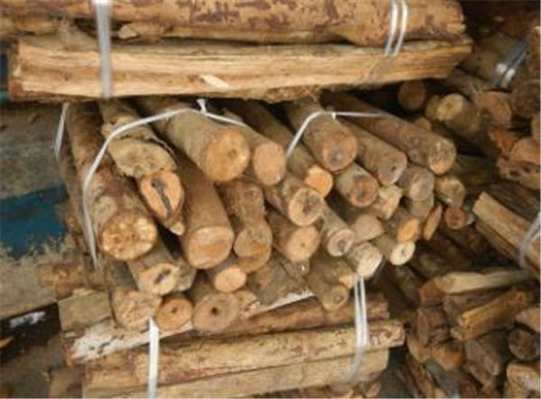 50%的缅甸家庭仍用木柴做饭背后：电力不足，只能烧柴