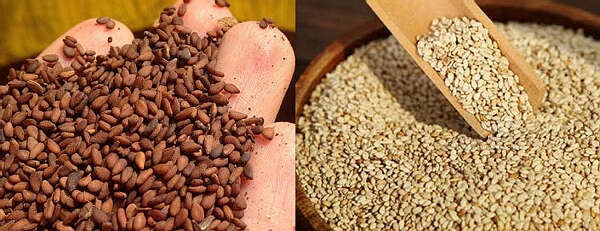 韩缅合营公司与马奎省农民们签订合同购买芝麻