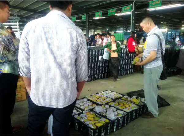 在中国边贸市场上缅甸芒果面临新的竞争对手