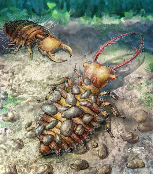 科学家从缅甸琥珀中揭示蛉类幼虫的伪装行为演化史