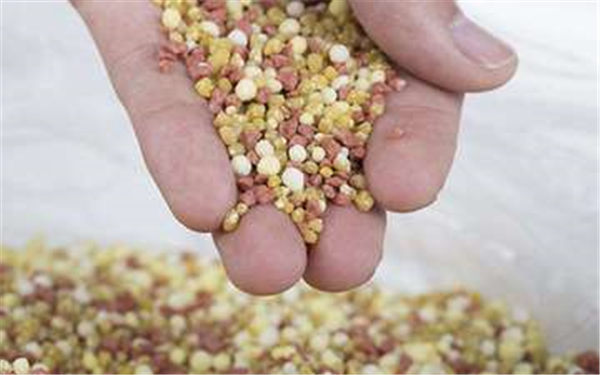 中国化肥获缅甸农业官员高度评价