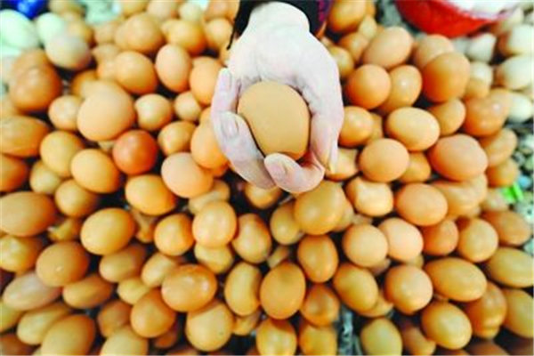 缅甸将出台肉奶蛋类质量标准