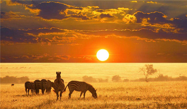 马丽蓉：“一带一路”与中非人文交流合作的典范意义