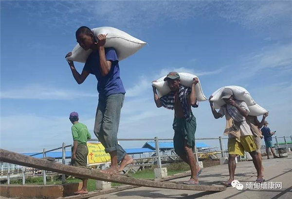 过去四个半月，大米，碎米出口量达到909,000公吨