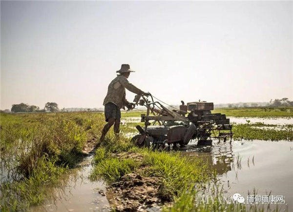 政府打击非法使用农田
