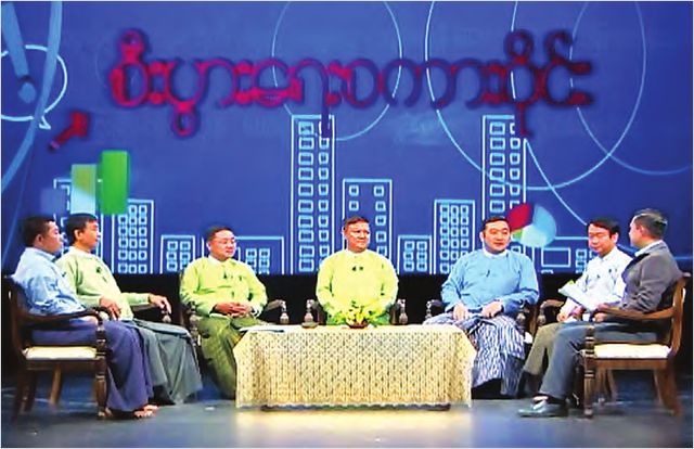 缅甸林业局属下的大象