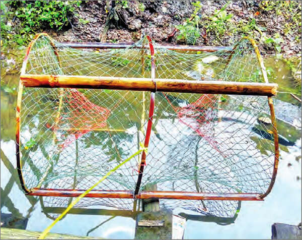伊洛瓦底省区出现新型捕鱼篓