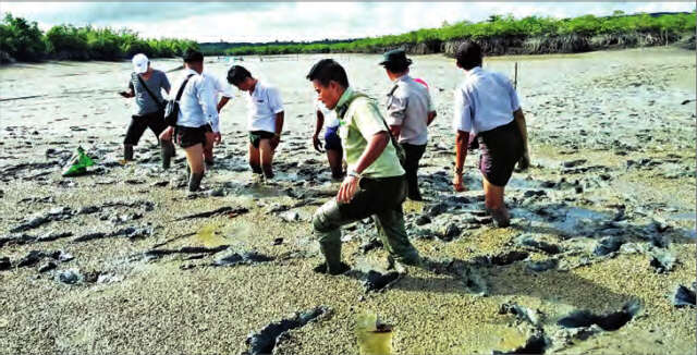 皎漂地区一些水生物死亡事件与水质污染无关