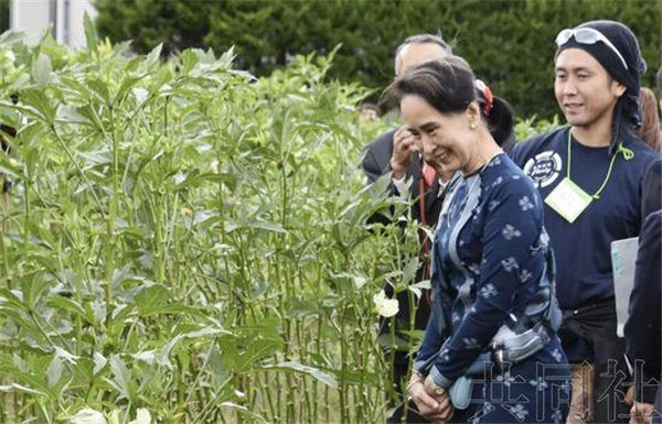 昂山素季访问日本 在福岛观摩农业称值得学习