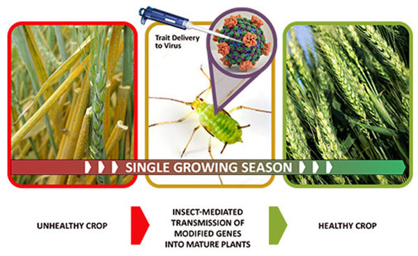 戎评|美元可杀62万人，美国最新“种族生物武器计划”曝光，灭绝对象直指两大国！