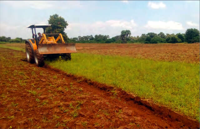 曼德勒省良吴地区农民们将采用台湾技术种植花生