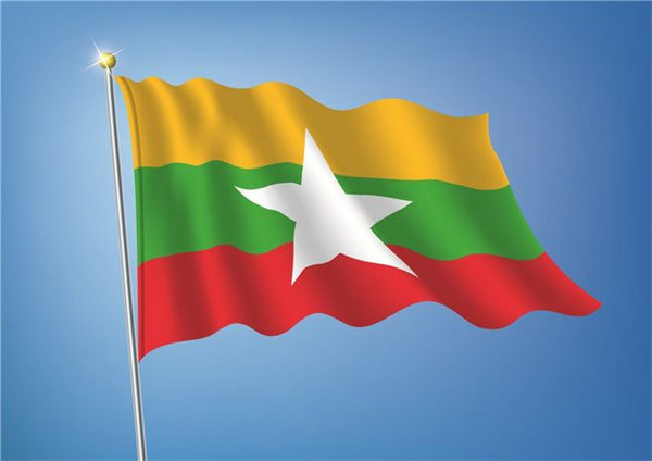 缅甸公布议会补选结果