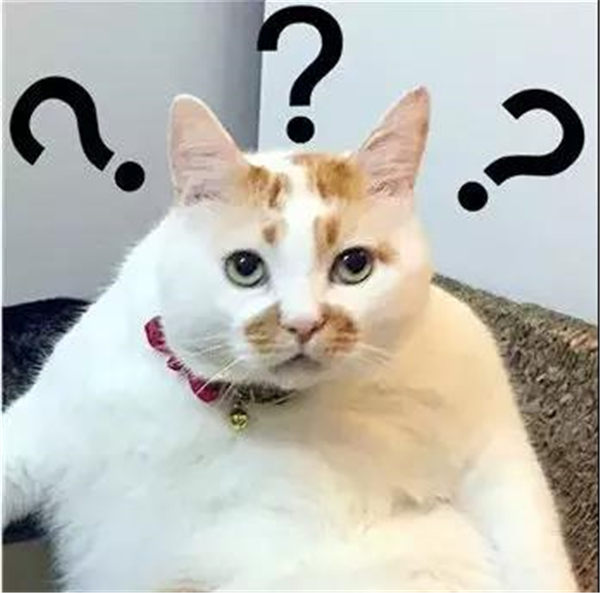 前无古人！中国快把毛乌素沙漠消灭了！