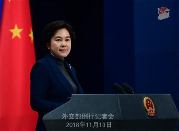 外交部：依法加强濒危物种的保护是中国政府的一贯立场