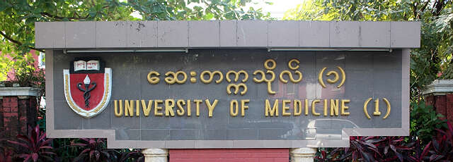 缅甸大学有开设“东南亚研究”学科吗？