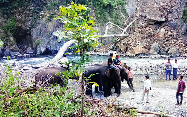 钦邦将开设新的大象营地