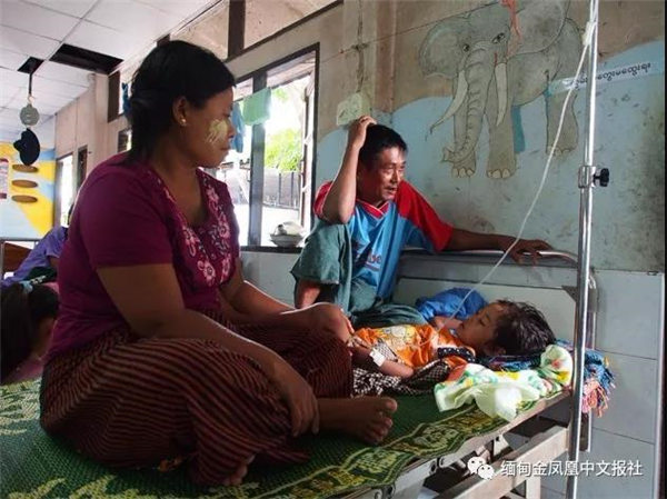 今年登革热易造成全缅107人死亡 感染及死亡率大幅下降