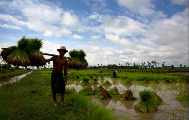 官方报纸公布缅甸各省邦的农田水利设备情况