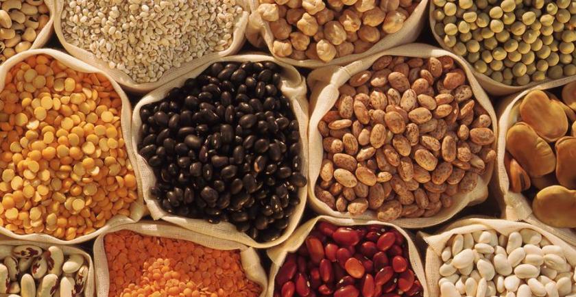 2018年内缅甸豆类出口达到140万吨