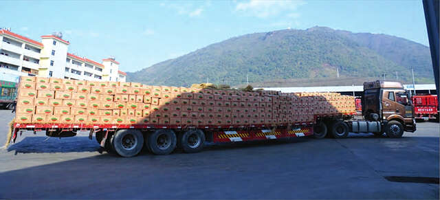 边境口岸货车严重阻塞缅甸瓜农损失惨重