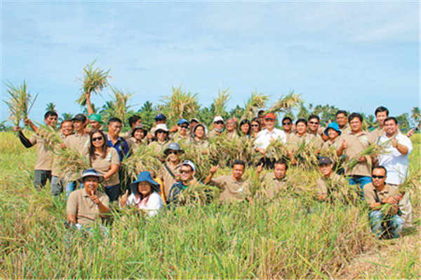 中国杂交水稻助东南亚增产，菲律宾一年净增产量240万吨