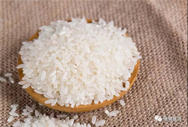 欧盟或对柬埔寨和缅甸大米征收关税