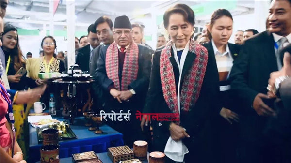 半月谈‖ 素体温体两开花，一边停火一边打