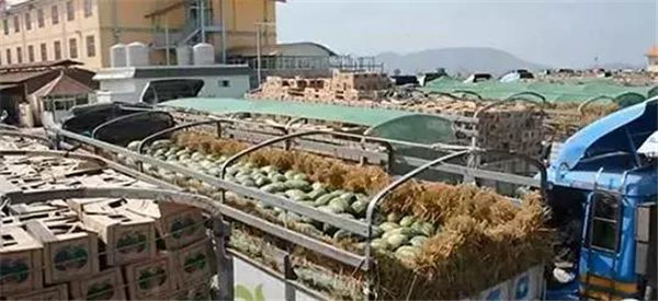 金三角口岸将升级为国际化口岸！中缅瓜农放心了