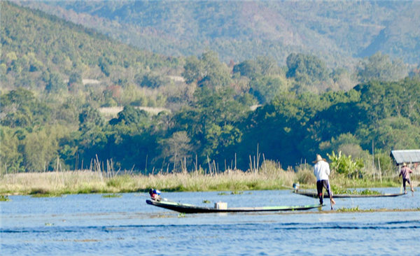 缅甸茵莱湖上的“独行侠”