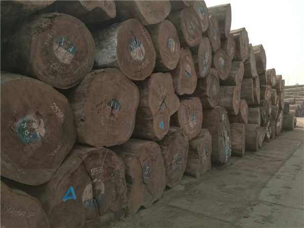 缅甸计划放松柚木木材出口政策