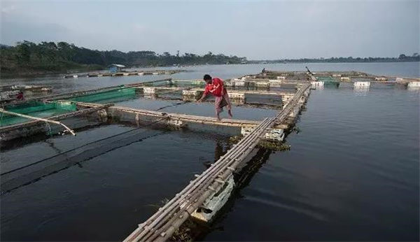 缅甸共有21家企业准许向欧洲出口海产品