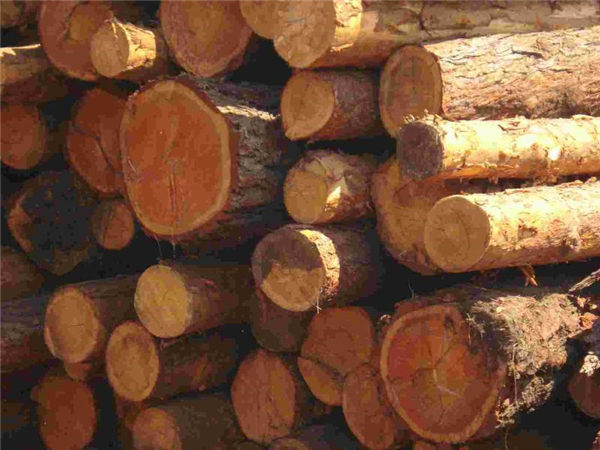 缅甸一天查获8吨走私木材