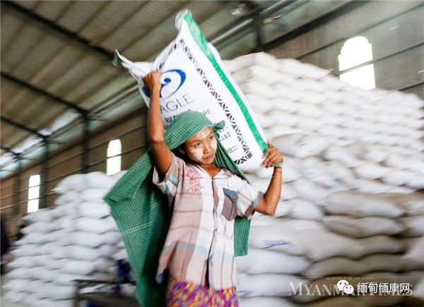 缅甸加大力度防止大米出口下滑