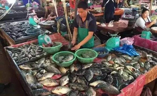 缅甸将停止从边境进口用冰冻肉和水产品加工的食品