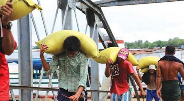 必须对世界大米市场进行探索研究