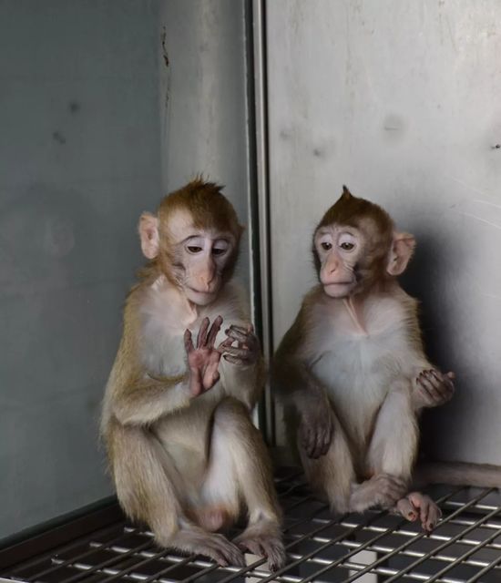 2018年度中国科学十大进展揭晓！