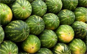 缅甸瓜果陆路出口中国