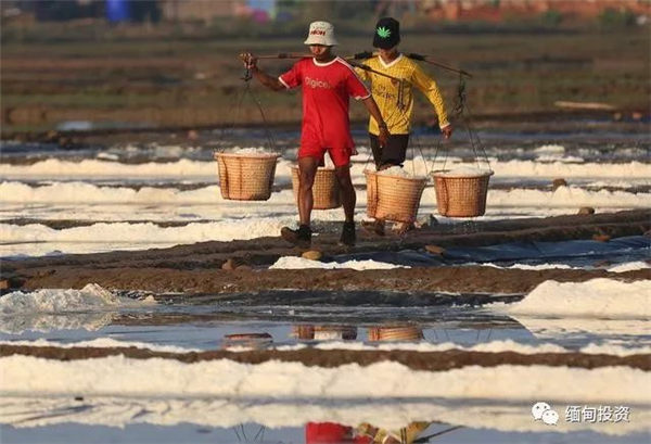 缅甸的盐田