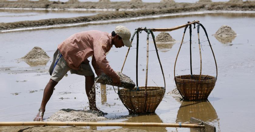 缅甸若开邦的盐业发展情况(二)