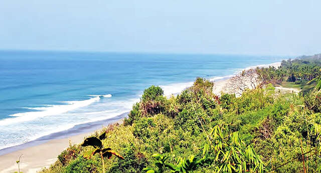 若开南部海岸地区将强力维护即将绝种的海龟