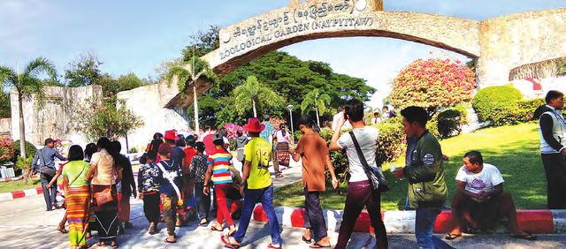 成功地走过十年岁月的内比都动物园