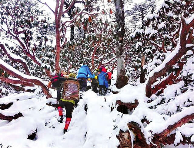 前往葡萄窝冰山地区的国内游客越来越多