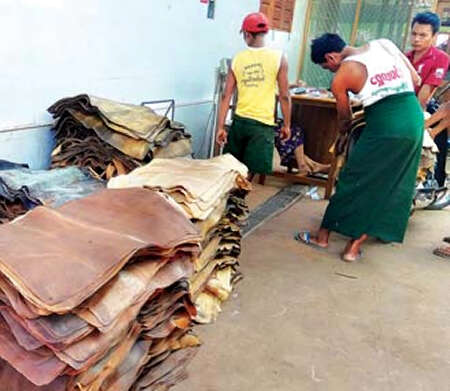 孟邦橡胶价格微涨但产量却减少