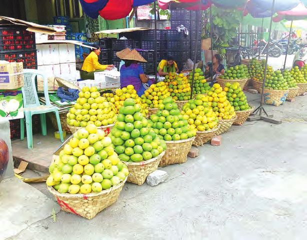 缅甸圣德龙芒果已大量上市了