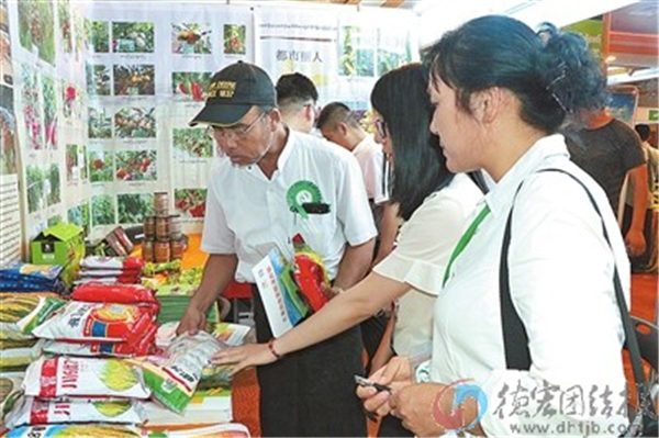 德宏亮相第五届缅甸芒果节
